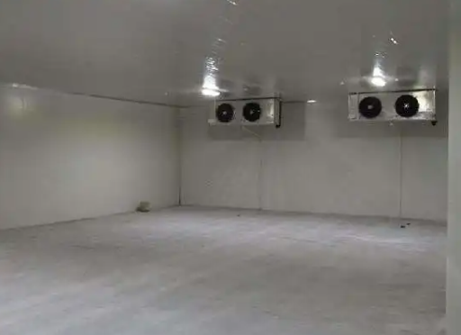 速凍冷庫(kù)建造