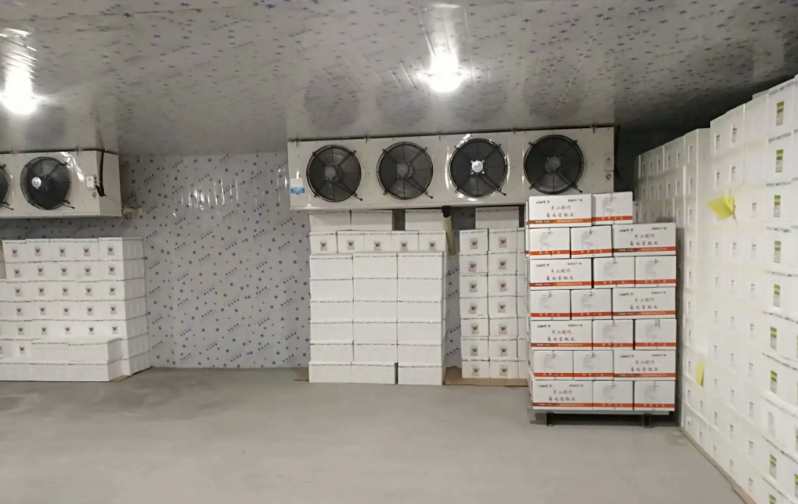 建造安裝一個(gè)200㎡的冷凍庫(kù)需要多少錢