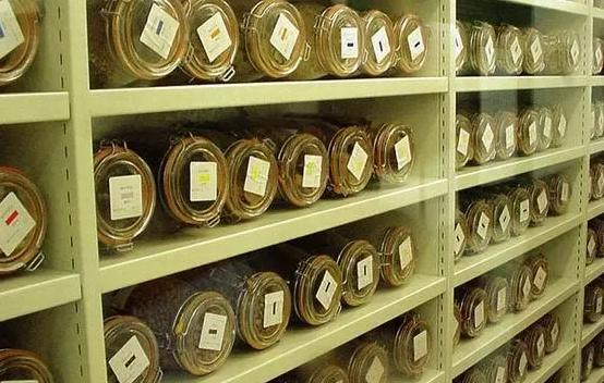 安裝500平米科研種子冷庫費用是多少？