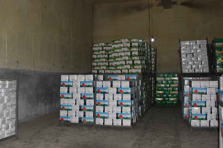 蘿卜保鮮冷庫(kù)安裝費(fèi)用多少錢