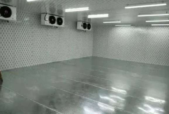建50平米冷藏庫造價多少錢