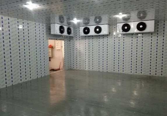 建30噸冷庫(kù)大概需要多少錢