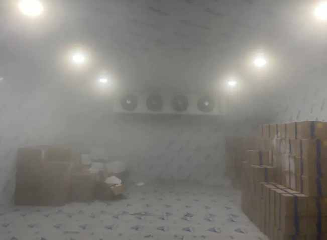 建一個(gè)冷凍庫(kù)大概要多少錢
