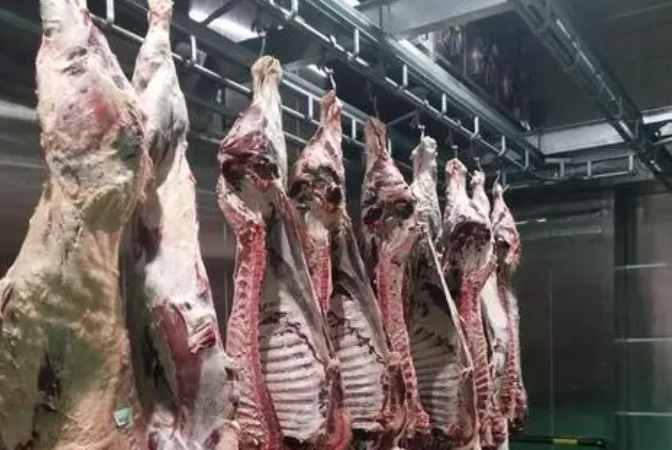 肉類排酸冷庫(kù)溫度及技術(shù)要求