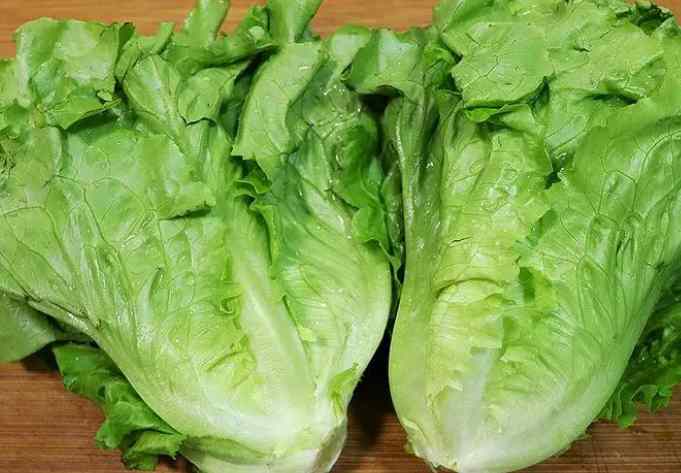 生菜在冷庫中該怎么保存時(shí)間長