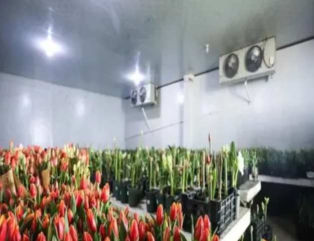 建一個(gè)15平的鮮花冷庫要多少錢