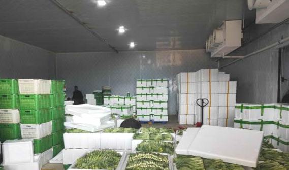 蘇州蔬菜氣調(diào)冷庫大概多少錢