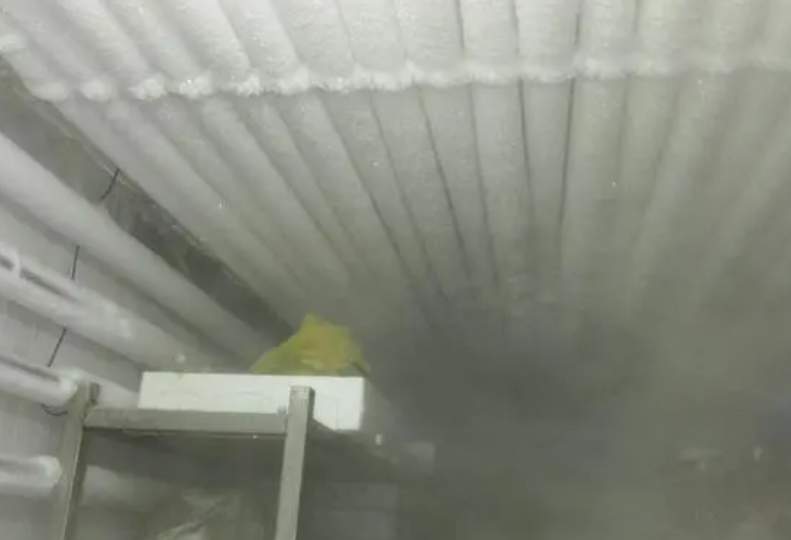 定制低溫速凍冷庫(kù)的成本大概是多少？