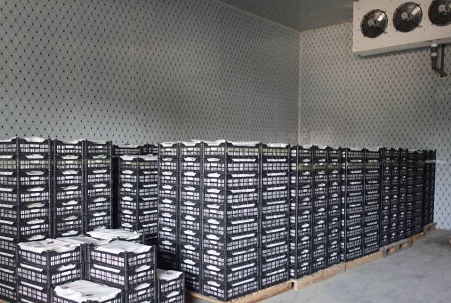 冷庫門密封效果維護和修理辦法？